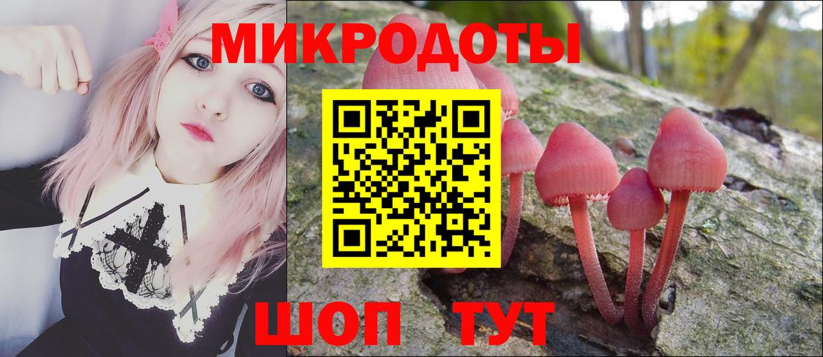 Галлюциногенные грибы GOLDEN TEACHER  Галлюциногенные грибы мицелий  Советск  Вход с VPN 