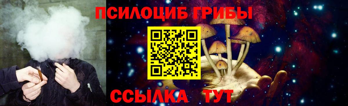 Псилоцибиновые грибы Cubensis Советск